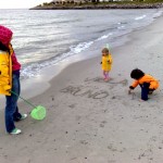 Strand oestlich Marina Ystad